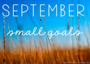 Read more about the article SEPTEMBER SMALL GOALS
